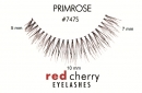Gene false Red Cherry #747S Primrose