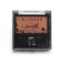 Blush 06 - Terracotta
