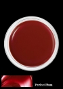 Pout polish 949 Perfect Plum