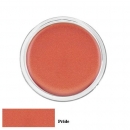 Pout polish 768 Pride *2012 Collection*